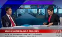 yemlik-misirda-gdo-tehlikesi-izle-video